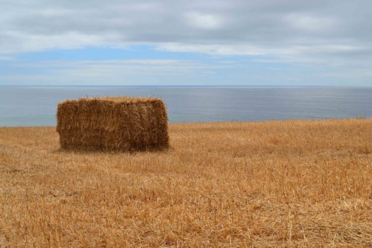 Alentejo Litoral