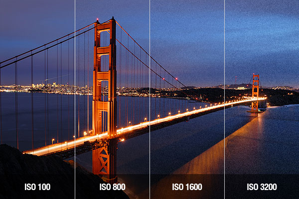 http://www.exposureguide.com/images/iso-sensitivity/image-quality-and-iso-sensitivity.jpg