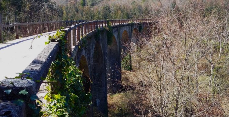 Ponte