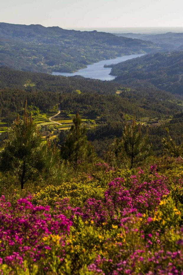 Vale do Vouga