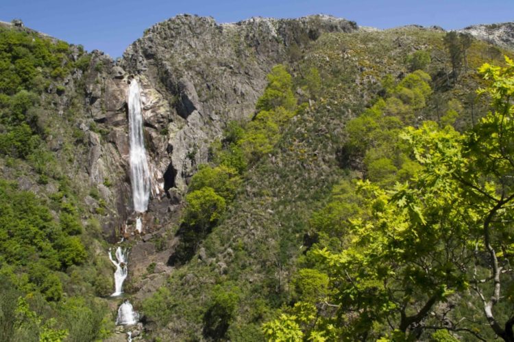Ultra Trail Serra da Freita 2014