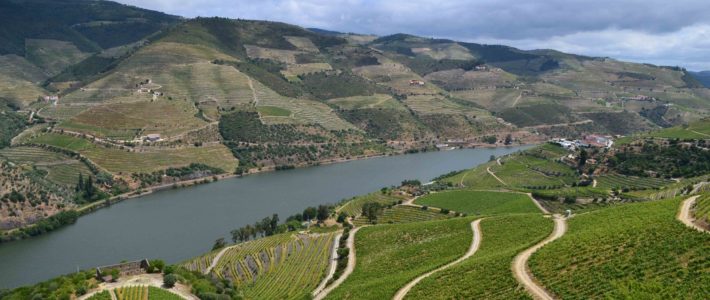 Douro Sublime Douro Sublime