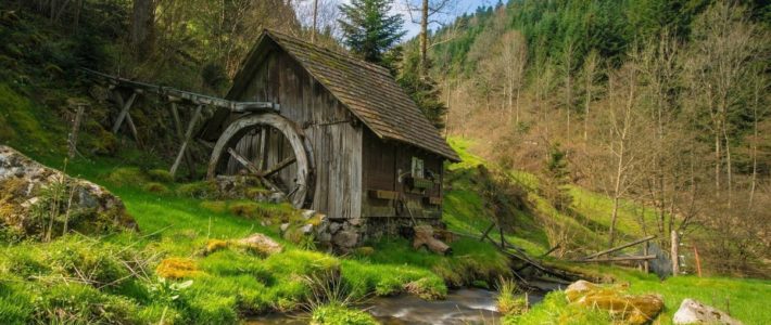 Sombras de Silêncio #8