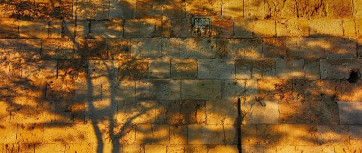 Sombras de Silêncio #313
