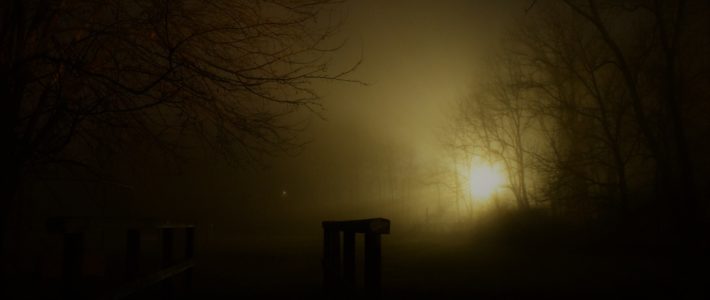 Sombras de Silêncio #338