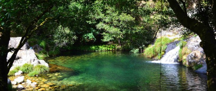 Quinta de São Francisco – Rio Teixeira Quinta de São Francisco – Rio Teixeira