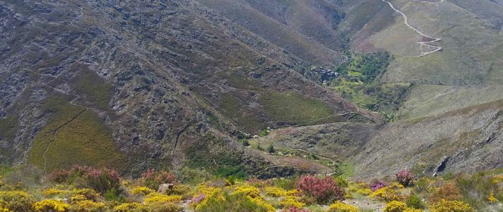 DraveTrail_18
