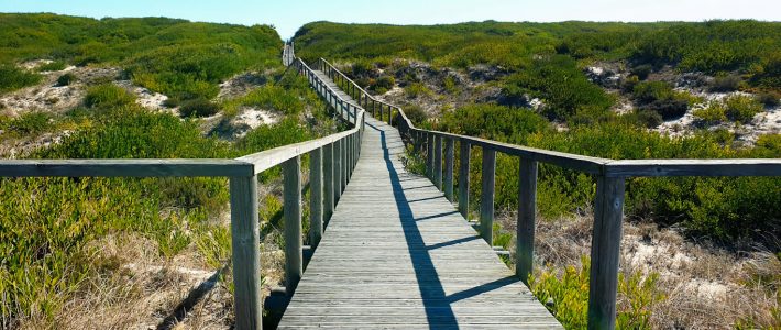 Reserva Natural Dunas de S. Jacinto