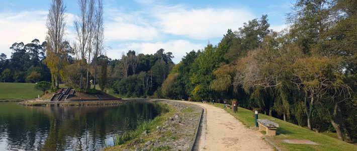 Trilhos do Europarque