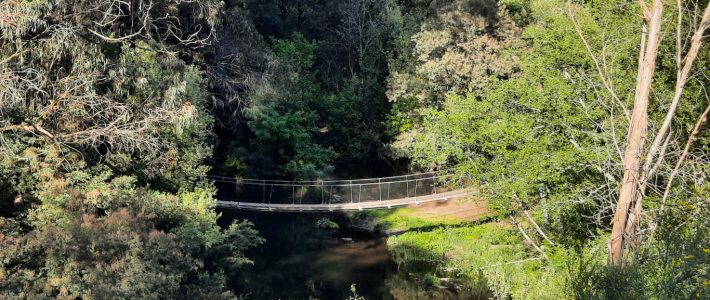 Trilho do rio Ferreira – Couce