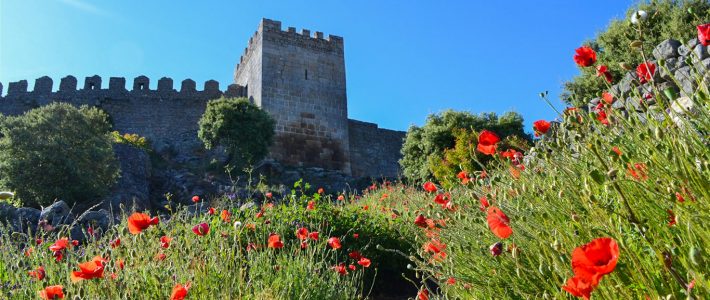 Castelo de Numão