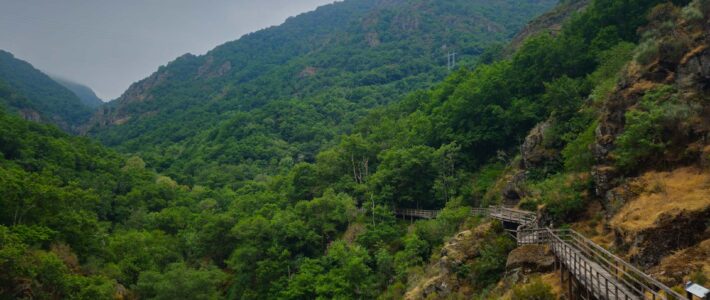 O canyon Mao