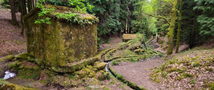 Levada de Víbora e Moinhos de Rei
